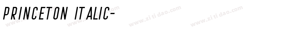 Princeton Italic字体转换
